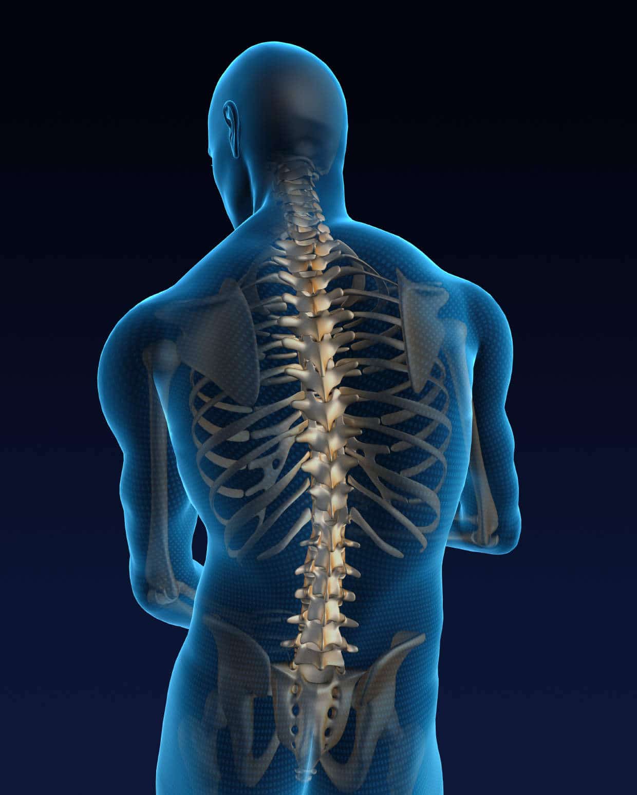 The Most Common Causes Of Lumbar Spine Pain - OrthoNeuro